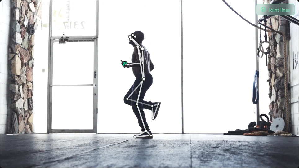 Joint-line visualization illustrating landmark-based movement analysis
